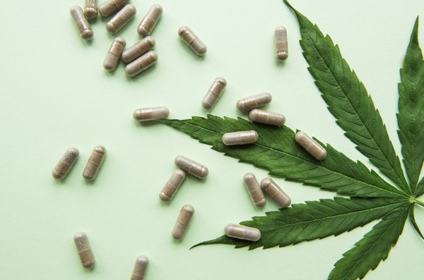 Statistiques et des informations clés sur l'utilisation et la consommation du cannabidiol